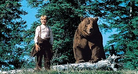 Wodospad grizzly
