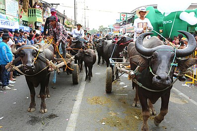 Wspaniałe Filipiny: Dziewiczy raj (2)