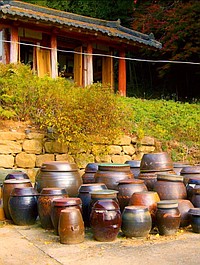 Wszystkie smaki fermentacji: Upojeni fetorem (2)