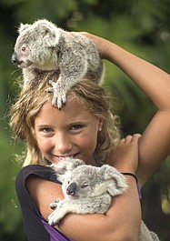 Wybawcy zwierząt: Izzy - zaklinacz koali