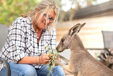 Wybawcy zwierząt: Bezpieczna przystań dla kangurów