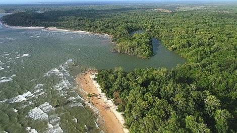 Wybrzeża Brazylii: Ujście Amazonki (1)