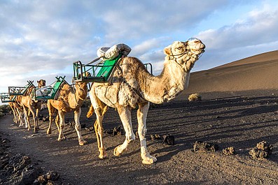 Wyspy Kanaryjskie: Gran Canaria i Fuerteventura. Lasy, wiatr i woda (4)