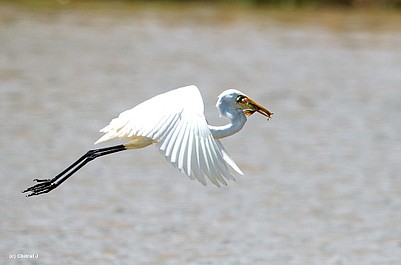 Wyspy. Laboratoria natury (3)