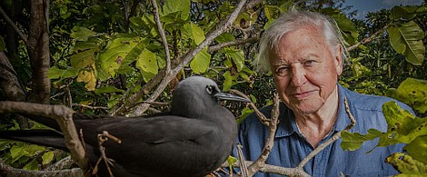 Z Davidem Attenborough dookoła świata: Dookoła świat (1)