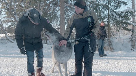 Zaginieni na Alasce: Upolowani przez włochatego człowieka (2)