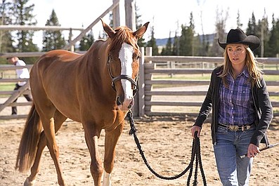 Zaklinacze koni 7 (13)