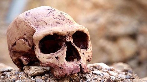 Ziemia - planeta życia: Planeta ludzi (5)