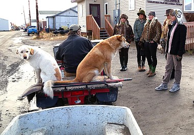 Złotka z Alaski (1/6)