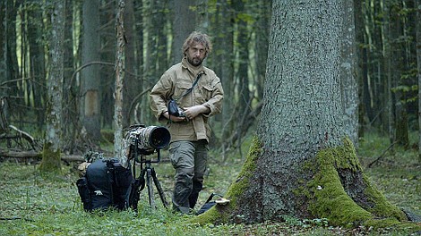 Zwierzęta Wajraka: Żubry we mgle (3)