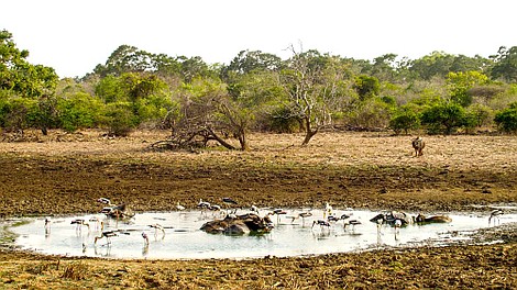 Życie na krawędzi przetrwania (2)