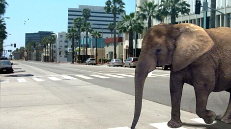 Życie po zagładzie ludzi: Heavy metal (4)