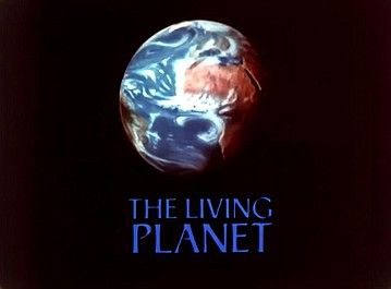 Żyjąca planeta - Portret Ziemi (5)