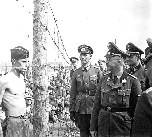 zdjęcie
