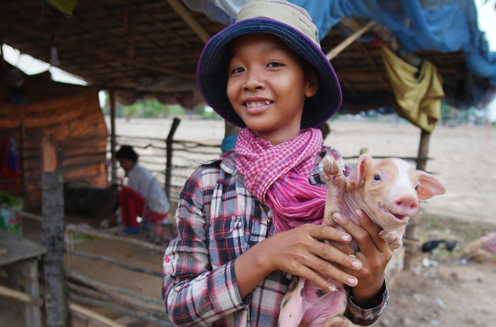 Ewa Ewart Poleca Dokument W Tvn24 Chomikuj www.teleman.pl