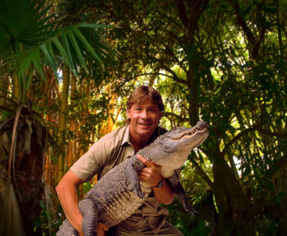 Программа дикой природы. Австралийский натуралист Стив Ирвин. Охотник за крокодилами Стив Ирвин. Охотник на крокодилов Стив Ирвин. Зоолог Стив Ирвин.