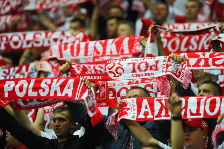 Piłka nożna: Eliminacje Mistrzostw Europy - mecz: Polska - Gruzja