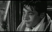 Nocny dokument: Alain Delon jakiego nie znamy