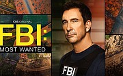Premiera: FBI: Most Wanted 4 (1/22)
