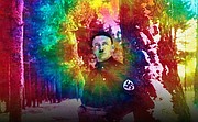 Hitler narkoman