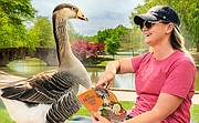 Natura w Jedynce: Honk - opowieść o pewnym gąsiorze