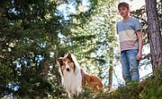 Lassie. Nowe przygody