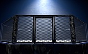 Sporty walki: UFC Fight Night: Fiziev vs. Gamrot