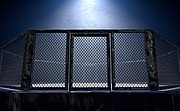 Sporty walki: UFC Fight Night